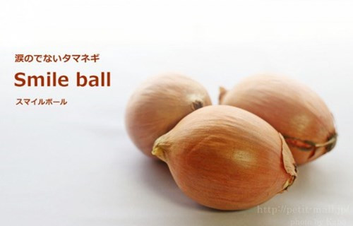 日本研发首个“无泪洋葱” 让你切洋葱时不再流泪