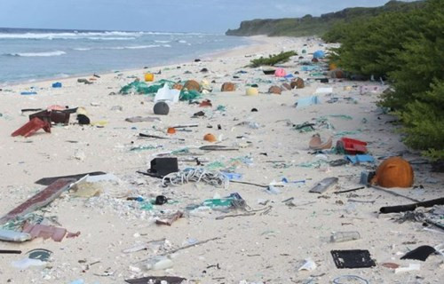 南太平洋小岛被塑料垃圾淹没：每平米高达671件