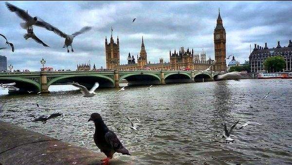 去英国伦敦游学