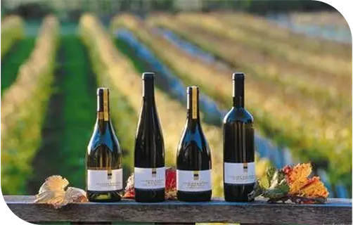 新西兰的葡萄酒文化