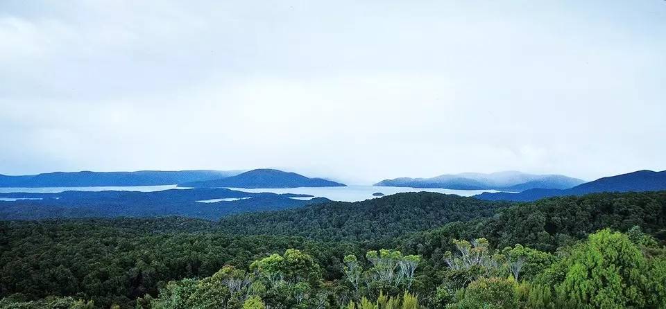来新西兰休闲体验必游的国家公园（4）