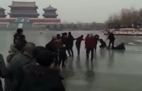 中国好路人！十几名路人手拉手  冰湖救下3条命_最新英语新闻
