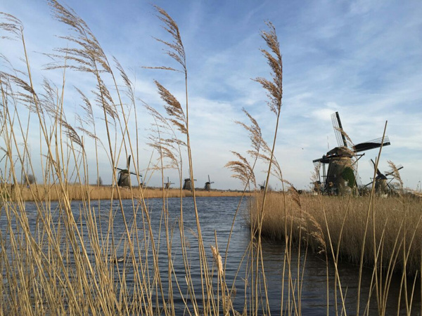 【荷兰旅游攻略】荷兰旅游景点有哪些？荷兰旅游景点推荐