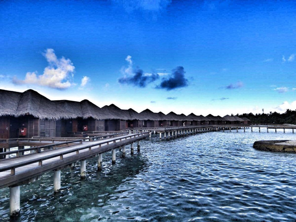 马尔代夫获全球最佳潜水目的地 前十月接待游客超百万