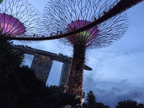 新加坡签证好办吗？怎样办理新加坡签证？新加坡签证的办理流程