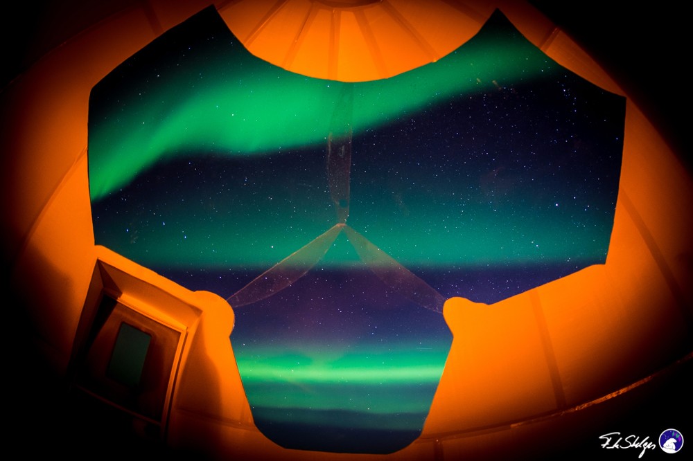 全球首例！阿拉斯加玻璃穹顶极光屋邀你体验温馨极光之旅！_图1
