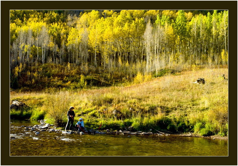 阿斯潘的秋天 (Aspen, Colorado)_图4