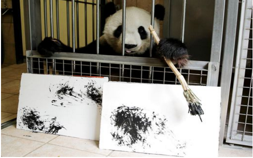 奥地利动物园内大熊猫“作画”, 每幅卖数千元！（双语）