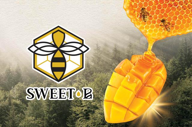 泰国必买零食Sweet B芒果仙极品，蜂蜜芒果干，休闲零食新口味。