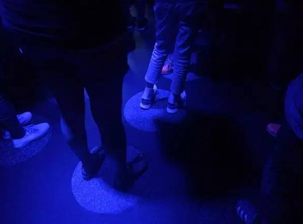 加拿大游学日记