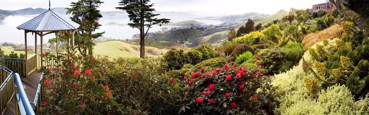 新西兰旅游城市介绍--但尼丁(Dunedin)