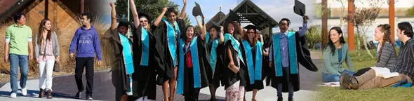 去哪个国家留学?8大理由让你无法拒绝新西兰