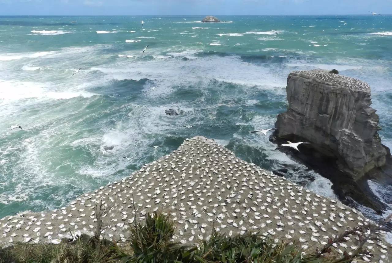 新西兰留学旅游休闲好去处:特色海滩