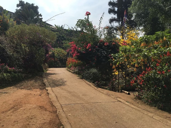 【清迈旅游景点】清迈有什么旅游景点？清迈的旅游景点怎么样？清迈旅游景点推荐