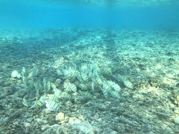 斐济在哪里？斐济的旅游景点有哪些？斐济旅游景点推荐