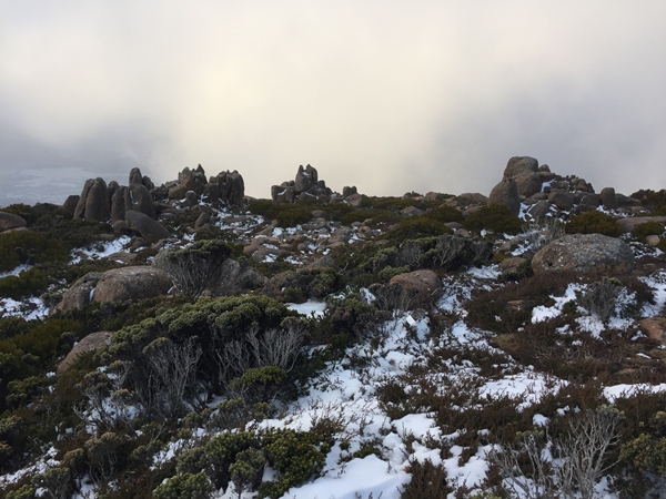 全球最适合旅游的岛屿--塔斯马尼亚，塔斯马尼亚地址及景点特色