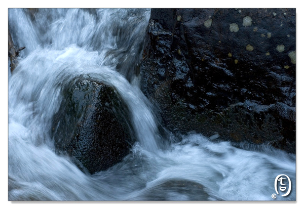 蓝鸟湖/Bluebird Lakeal Park_图4