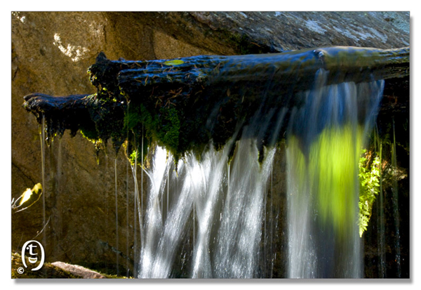 蓝鸟湖/Bluebird Lakeal Park_图20