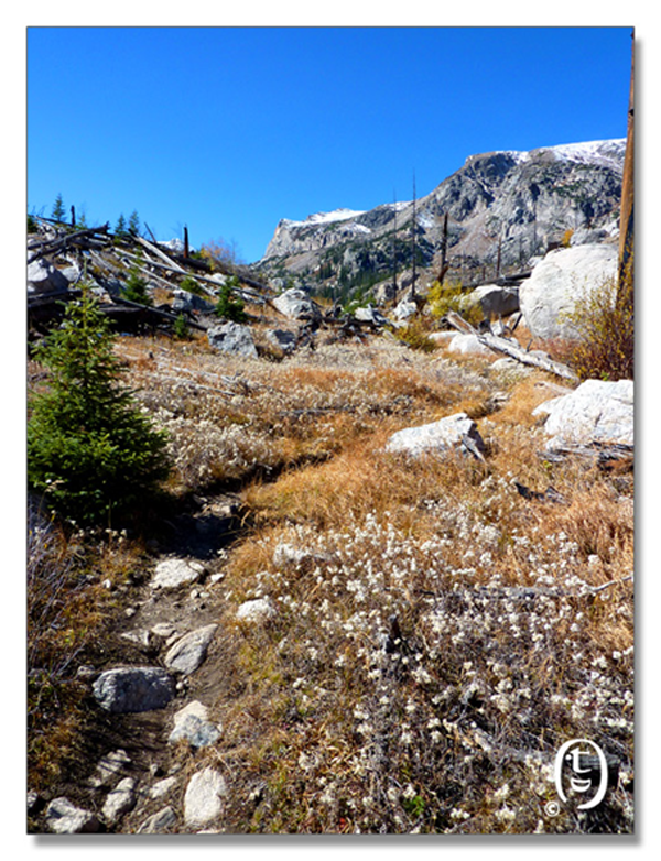 蓝鸟湖/Bluebird Lakeal Park_图25