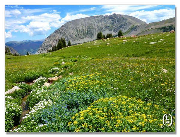科州旅游安全知识 & Meadow Creek Trail_图1
