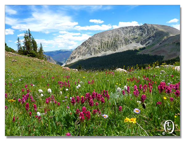 科州旅游安全知识 & Meadow Creek Trail_图2
