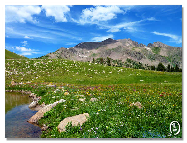 科州旅游安全知识 & Meadow Creek Trail_图3