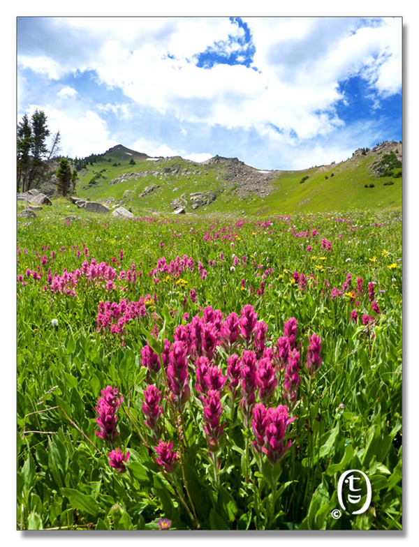 科州旅游安全知识 & Meadow Creek Trail_图6
