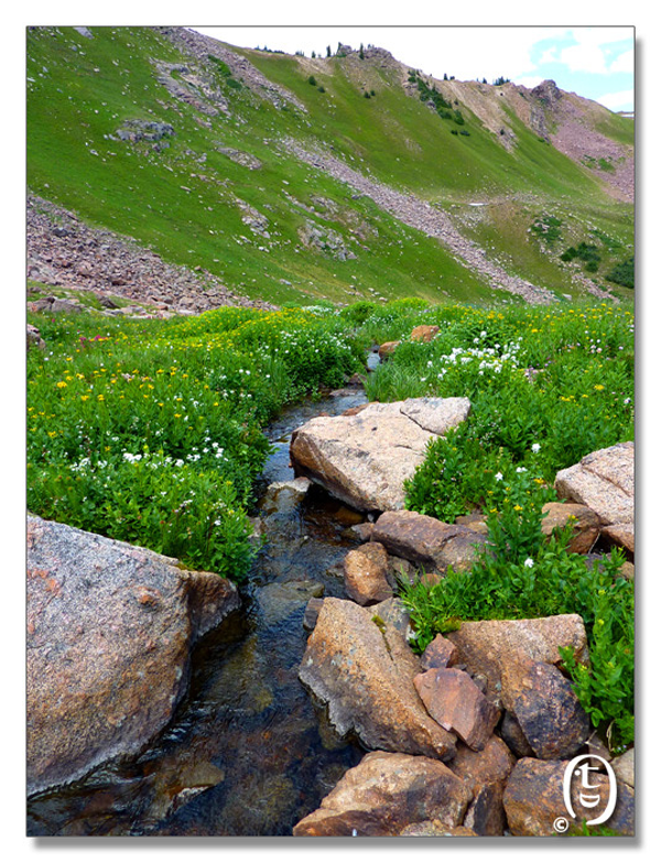 科州旅游安全知识 & Meadow Creek Trail_图10