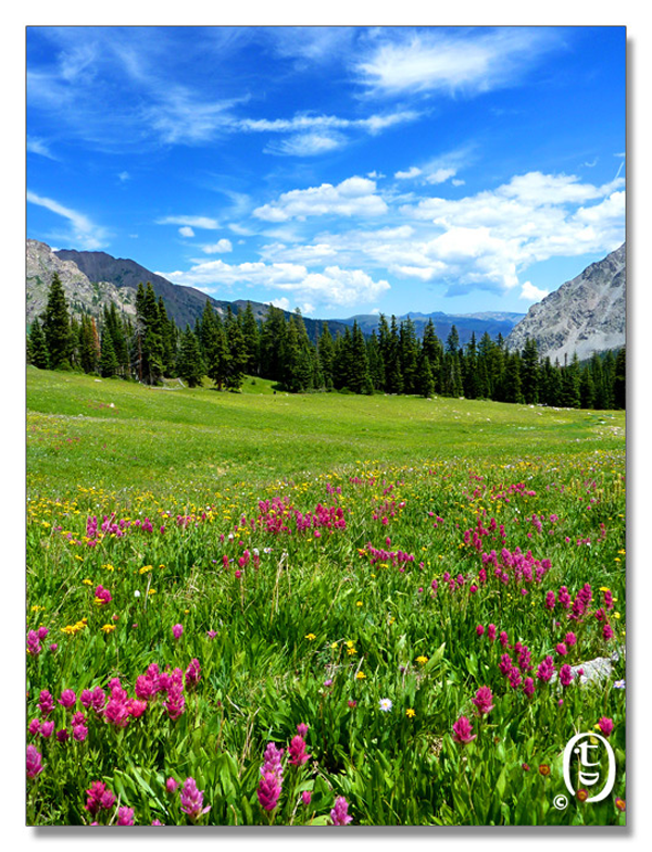 科州旅游安全知识 & Meadow Creek Trail_图11