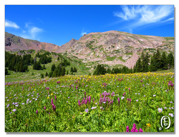 科州旅游安全知识 & Meadow Creek Trail_图18
