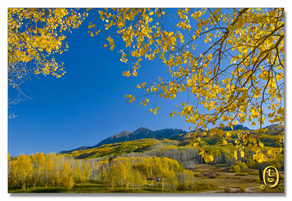 Crested Butte 的秋天_图3