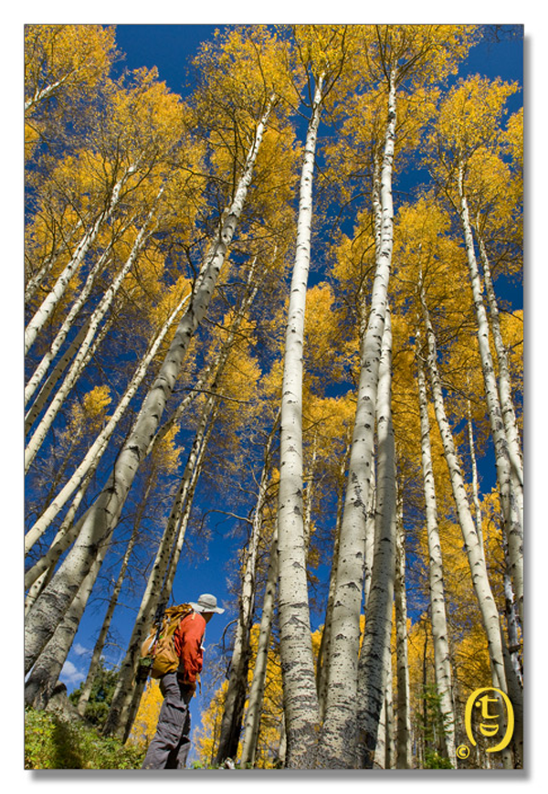 Crested Butte 的秋天_图6