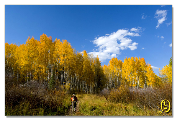 Crested Butte 的秋天_图7