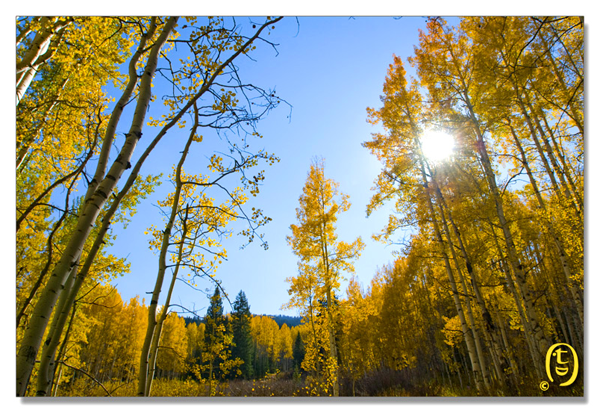 Crested Butte 的秋天_图8