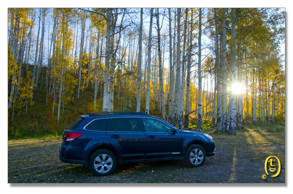 Crested Butte 的秋天_图1