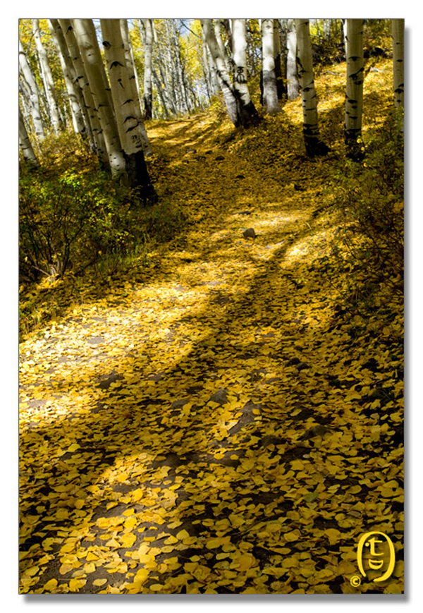 Crested Butte 的秋天_图8