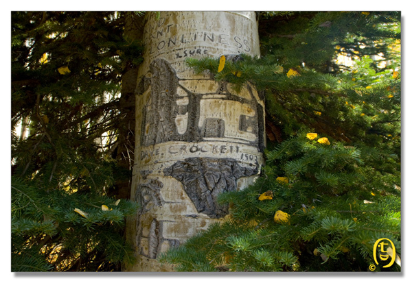 Crested Butte 的秋天_图10
