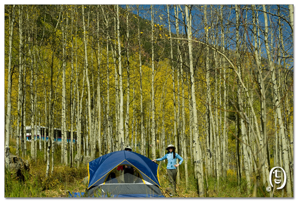 科罗拉多夏天旅游指南_图23