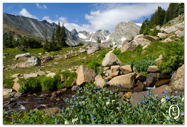 带小朋友爬山去 - Lake Isabelle_图8
