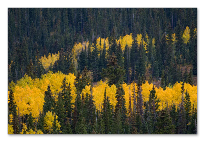 Crested Butte 的秋天_图5