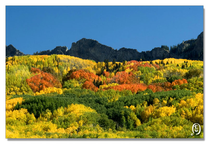 Crested Butte 的秋天_图12