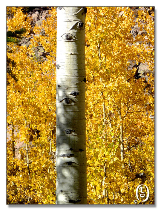 Gore Lake Trail - Backpacking Trip Around Vail 2010_图3
