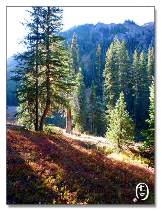 Gore Lake Trail - Backpacking Trip Around Vail 2010_图4