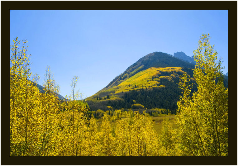 阿斯潘的秋天 (Aspen, Colorado)_图2