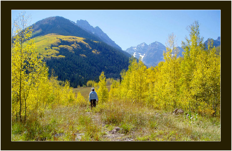 阿斯潘的秋天 (Aspen, Colorado)_图4