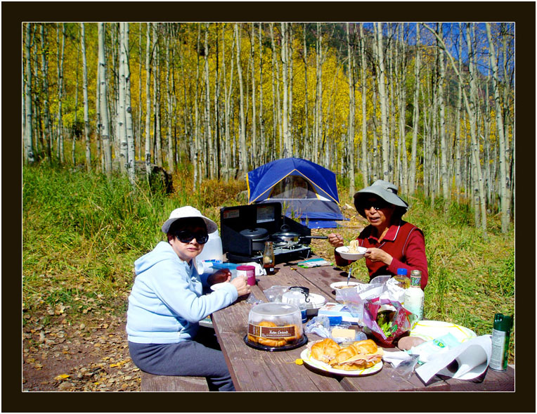 阿斯潘的秋天 (Aspen, Colorado)_图1