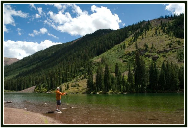 阿斯潘的秋天 (Aspen, Colorado)_图1