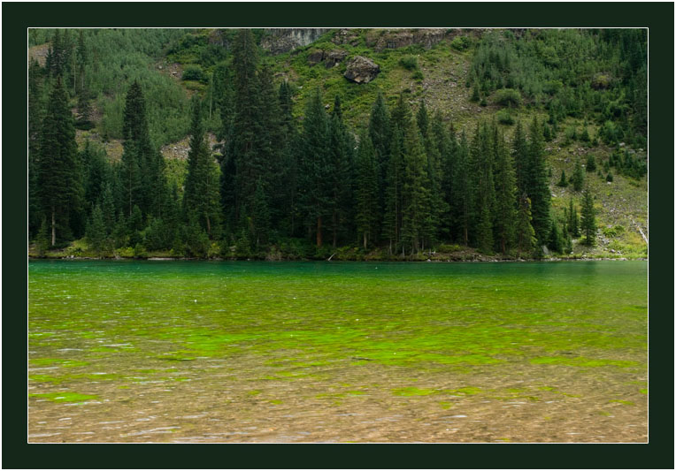 阿斯潘的秋天 (Aspen, Colorado)_图2