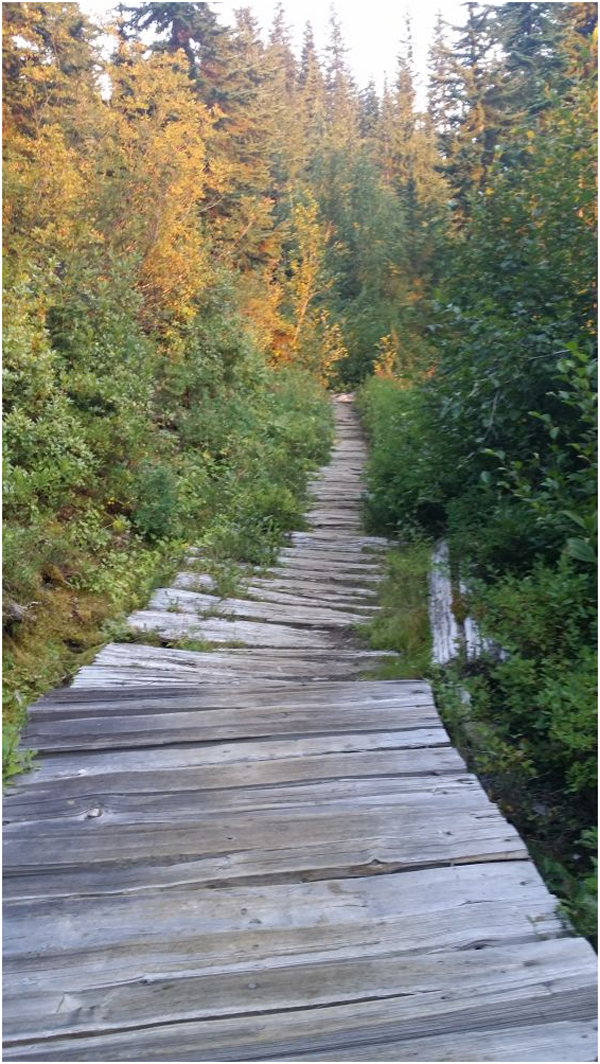 转山第九天，终点_图7