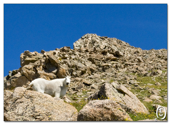 这次是真的吃撑了 ， 一天爬两座14ers_图3